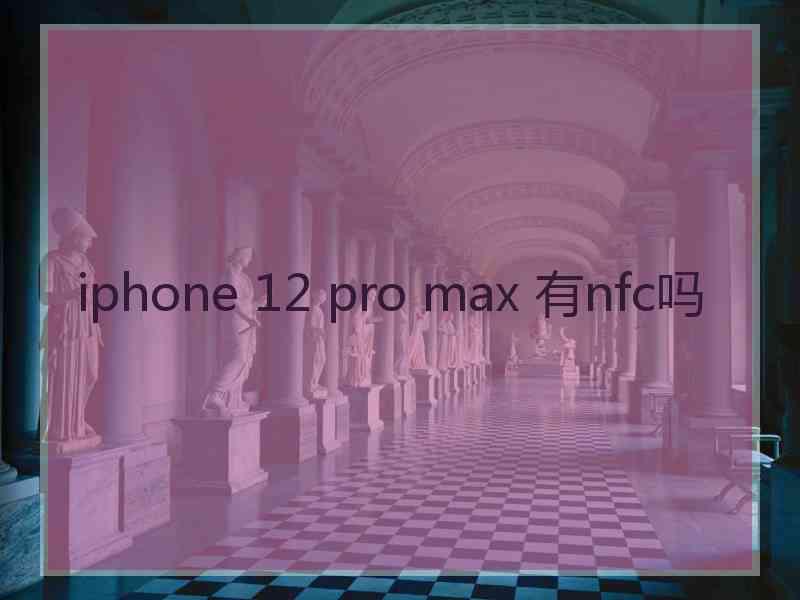 iphone 12 pro max 有nfc吗