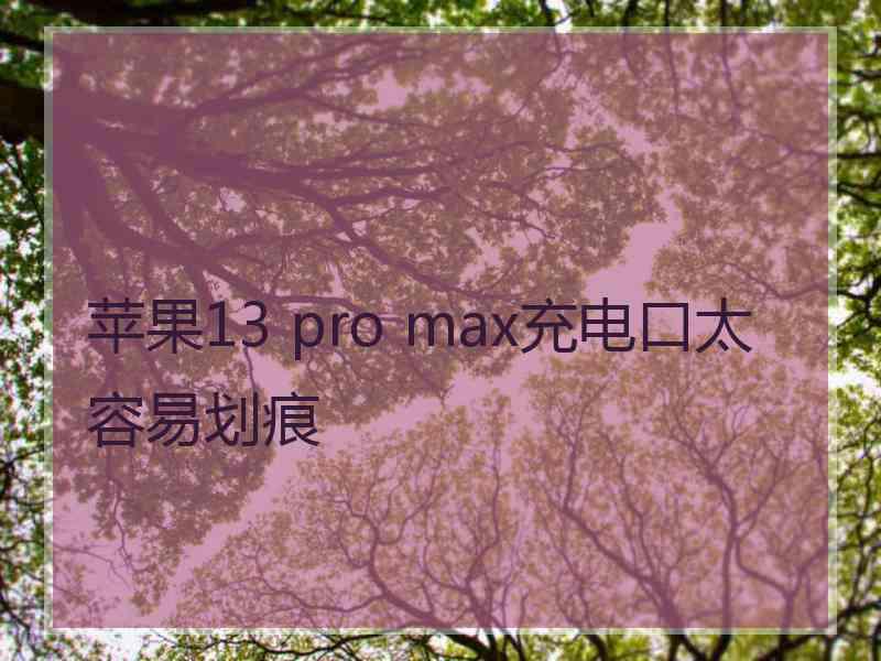 苹果13 pro max充电口太容易划痕