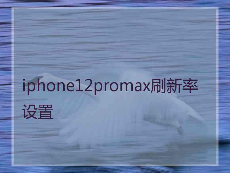 iphone12promax刷新率设置