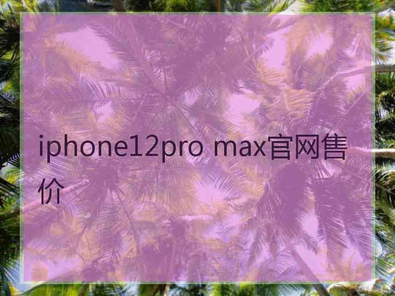 iphone12pro max官网售价