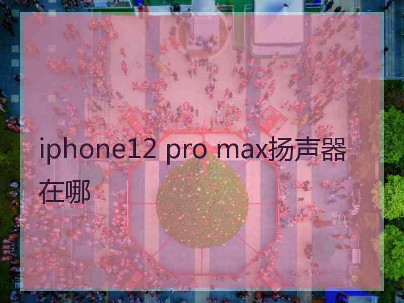 iphone12 pro max扬声器在哪