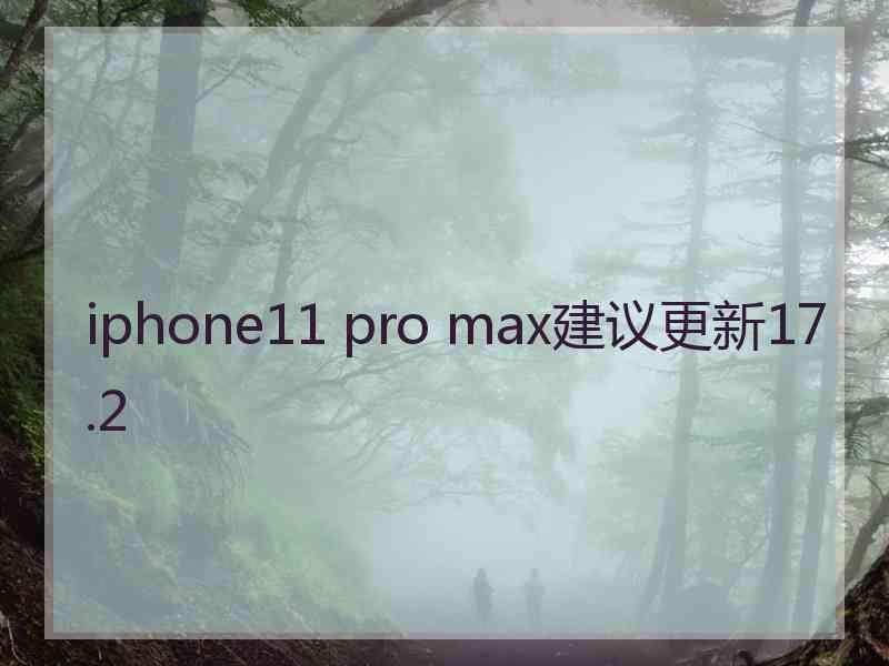 iphone11 pro max建议更新17.2