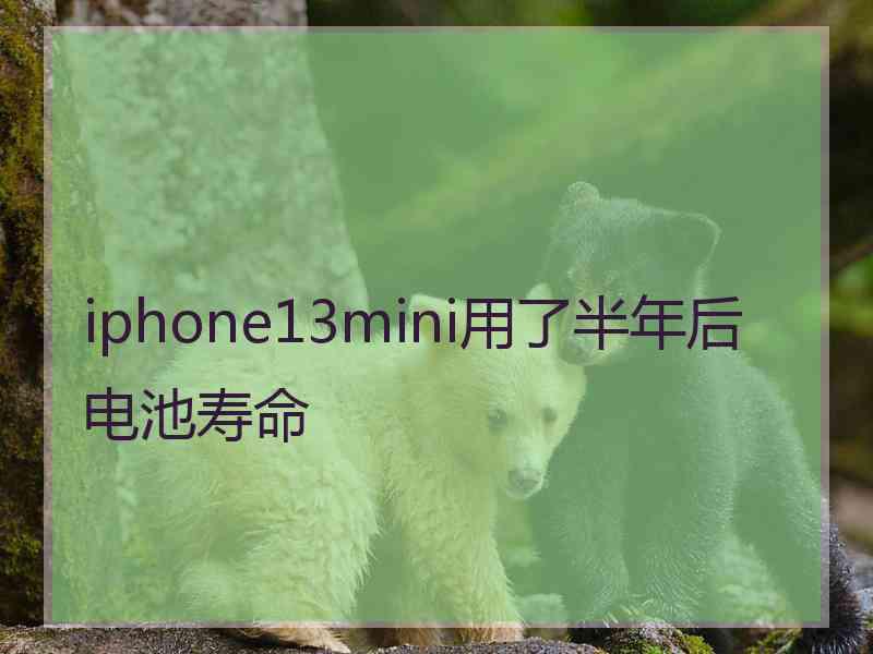 iphone13mini用了半年后电池寿命