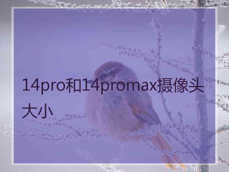 14pro和14promax摄像头大小