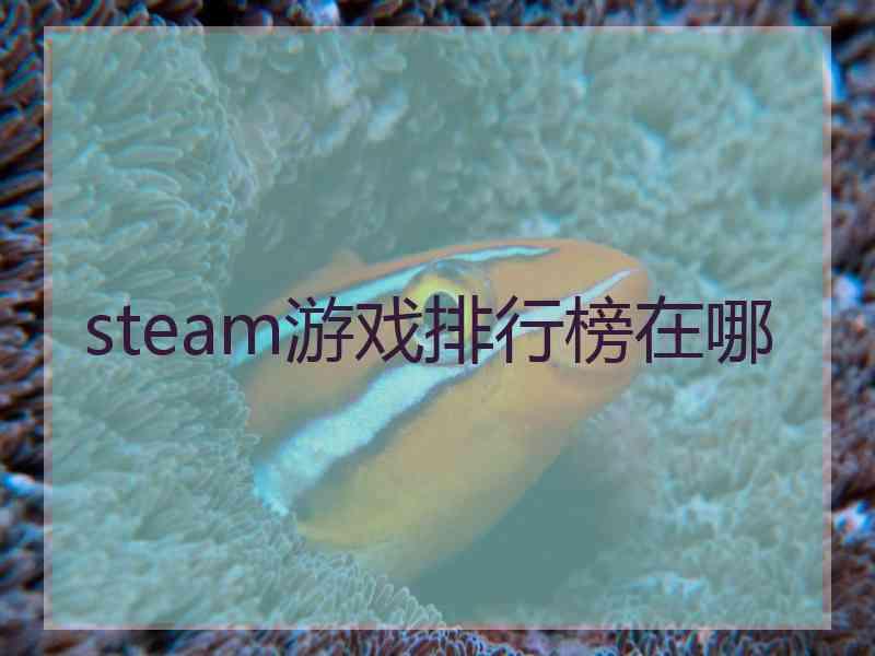 steam游戏排行榜在哪