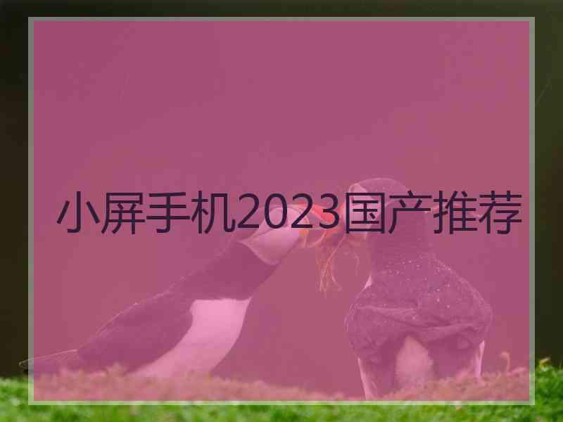 小屏手机2023国产推荐