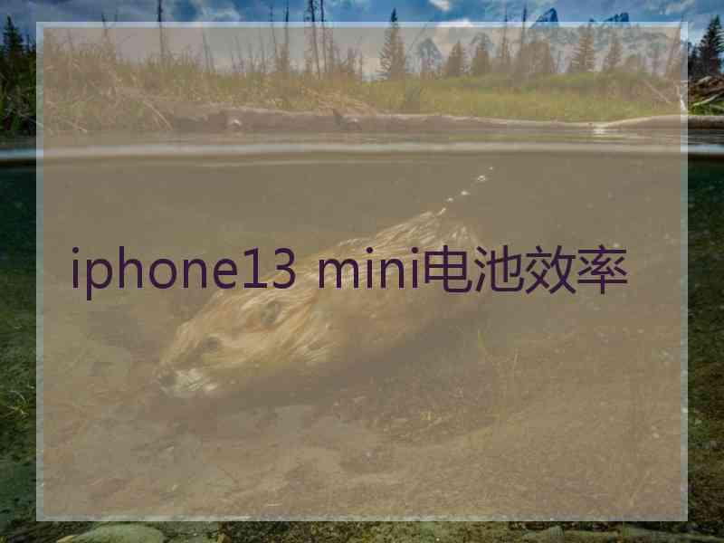 iphone13 mini电池效率