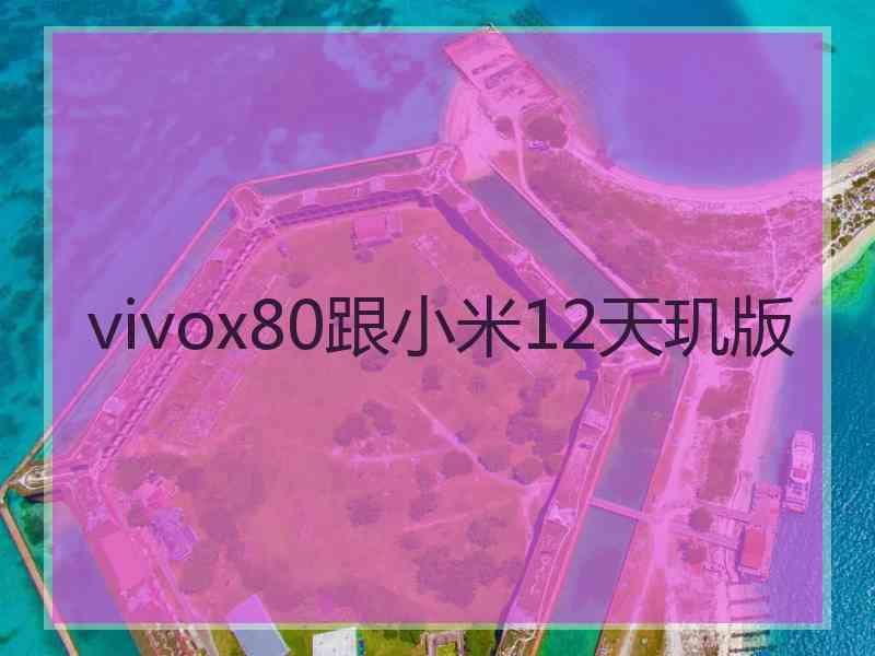 vivox80跟小米12天玑版