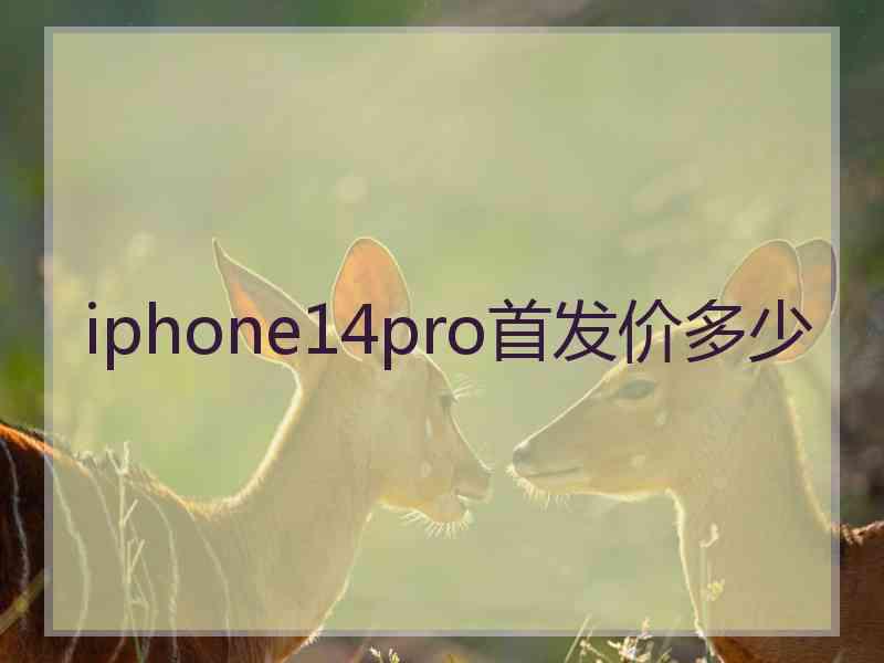 iphone14pro首发价多少