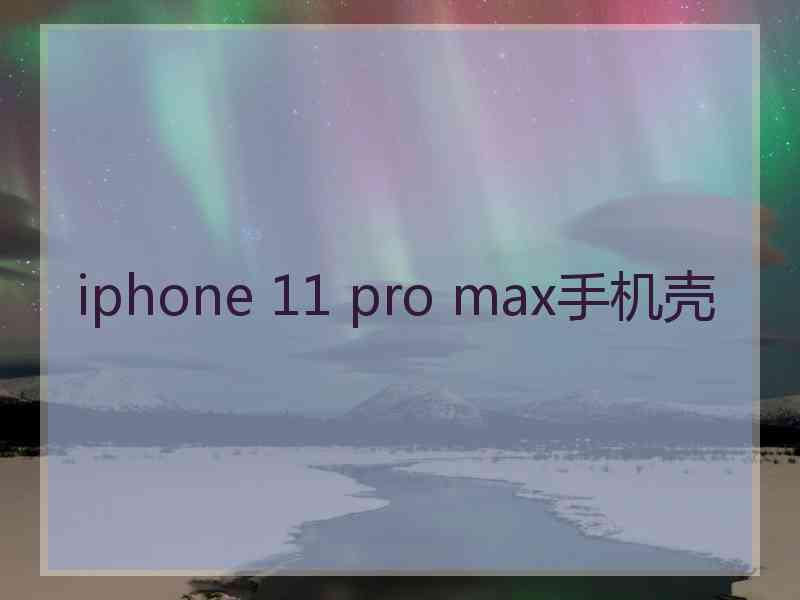 iphone 11 pro max手机壳