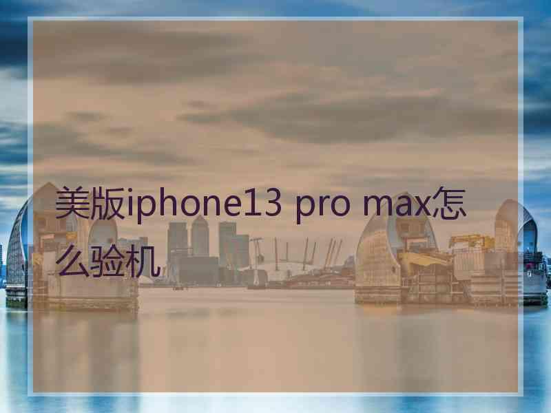 美版iphone13 pro max怎么验机