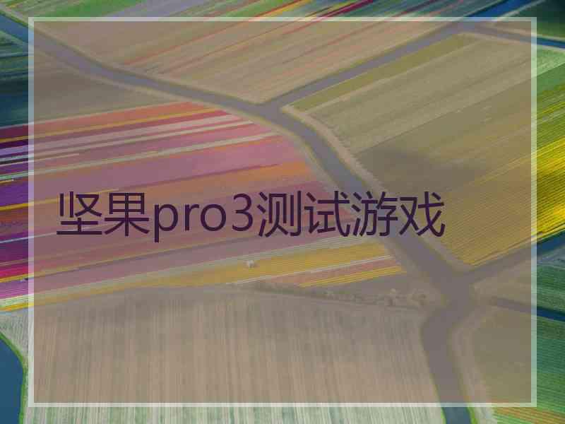 坚果pro3测试游戏