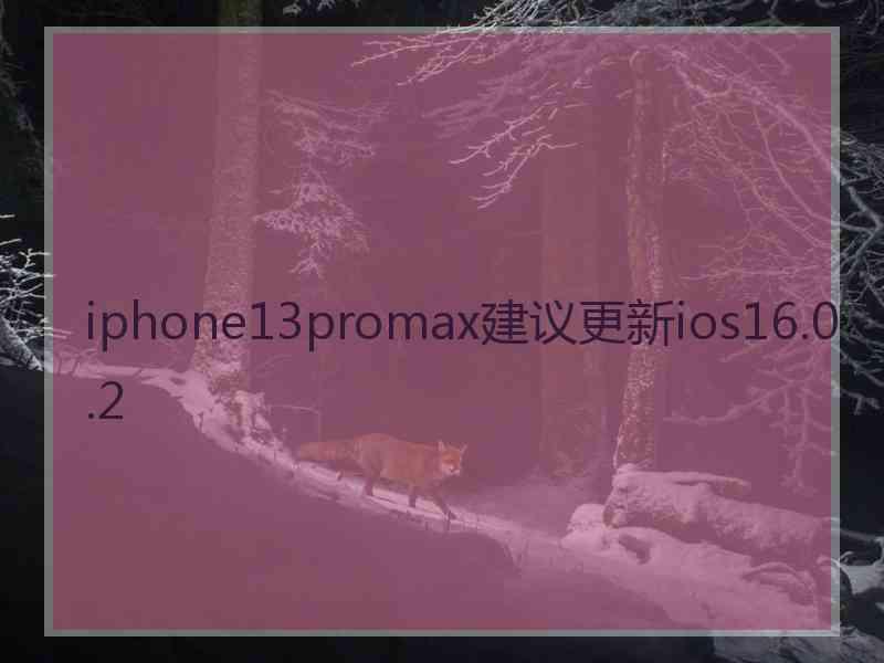 iphone13promax建议更新ios16.0.2