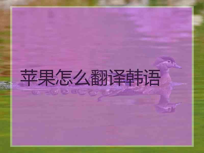 苹果怎么翻译韩语