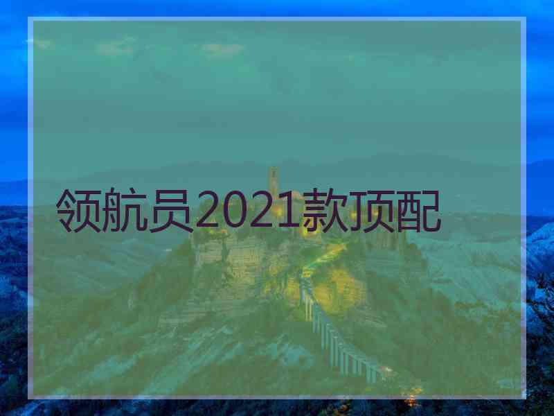 领航员2021款顶配