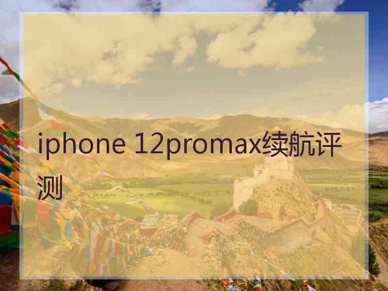 iphone 12promax续航评测