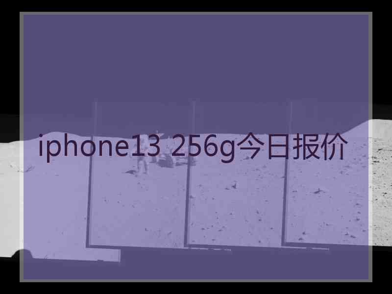 iphone13 256g今日报价