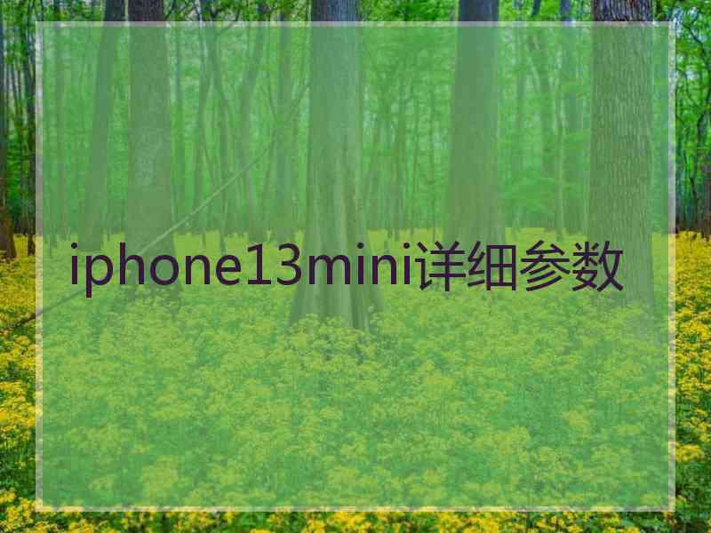 iphone13mini详细参数