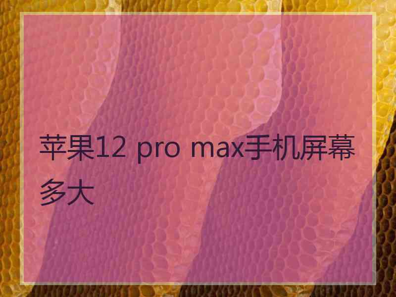 苹果12 pro max手机屏幕多大