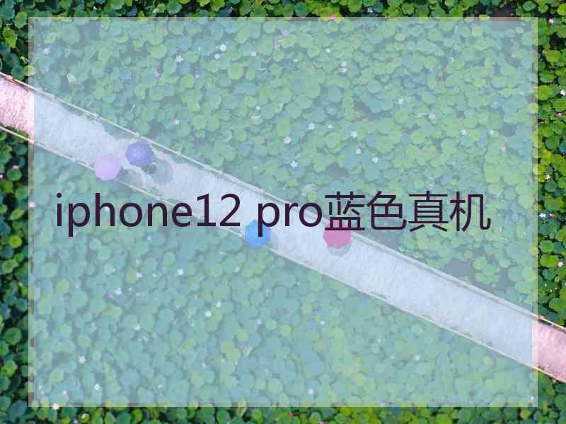 iphone12 pro蓝色真机