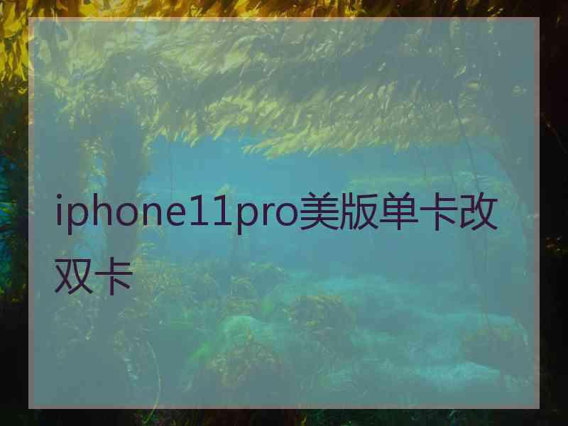 iphone11pro美版单卡改双卡