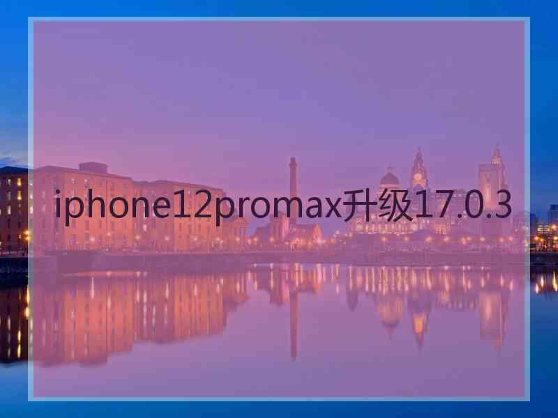 iphone12promax升级17.0.3