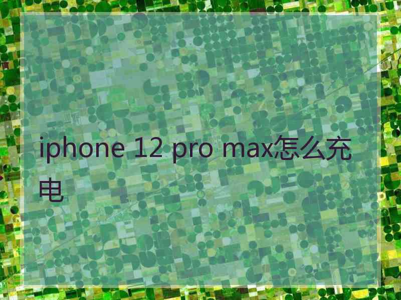 iphone 12 pro max怎么充电