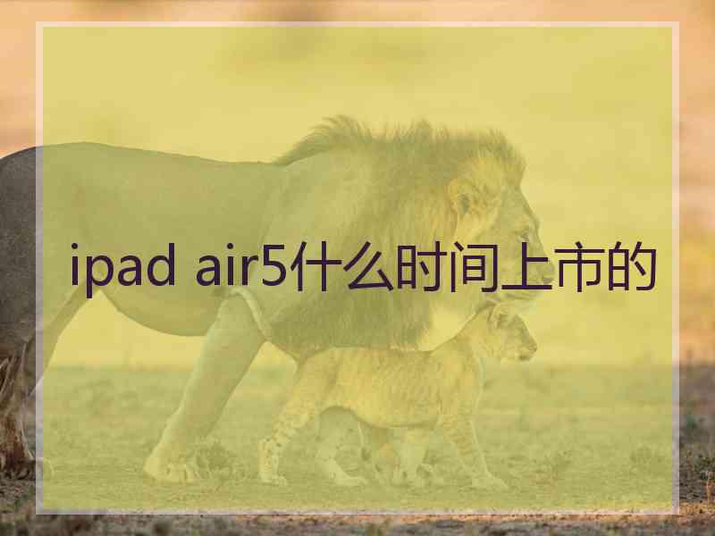 ipad air5什么时间上市的