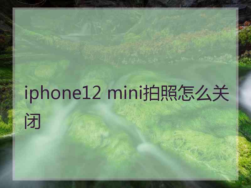 iphone12 mini拍照怎么关闭