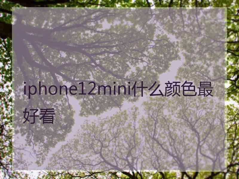 iphone12mini什么颜色最好看