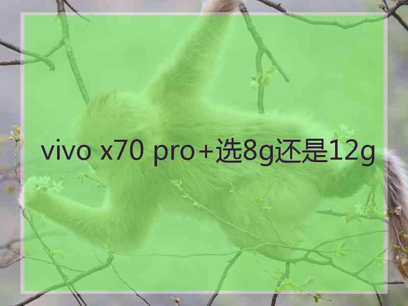 vivo x70 pro+选8g还是12g