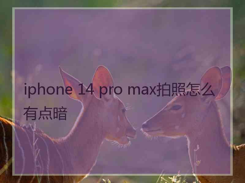 iphone 14 pro max拍照怎么有点暗