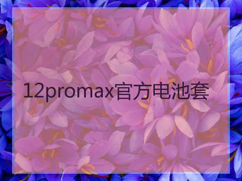 12promax官方电池套