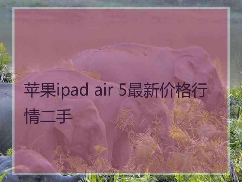 苹果ipad air 5最新价格行情二手