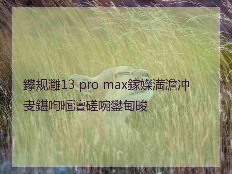 鑻规灉13 pro max鎵嬫満澹冲叏鍖呴暅澶磋啘鐢甸晙