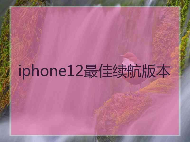 iphone12最佳续航版本