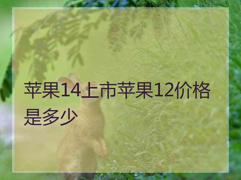 苹果14上市苹果12价格是多少