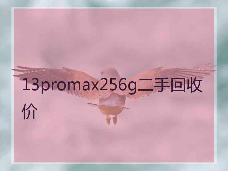 13promax256g二手回收价