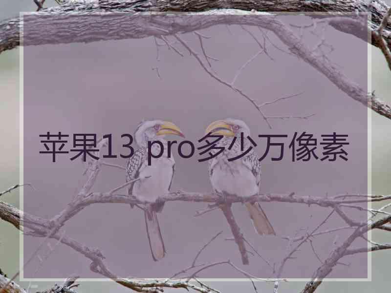 苹果13 pro多少万像素