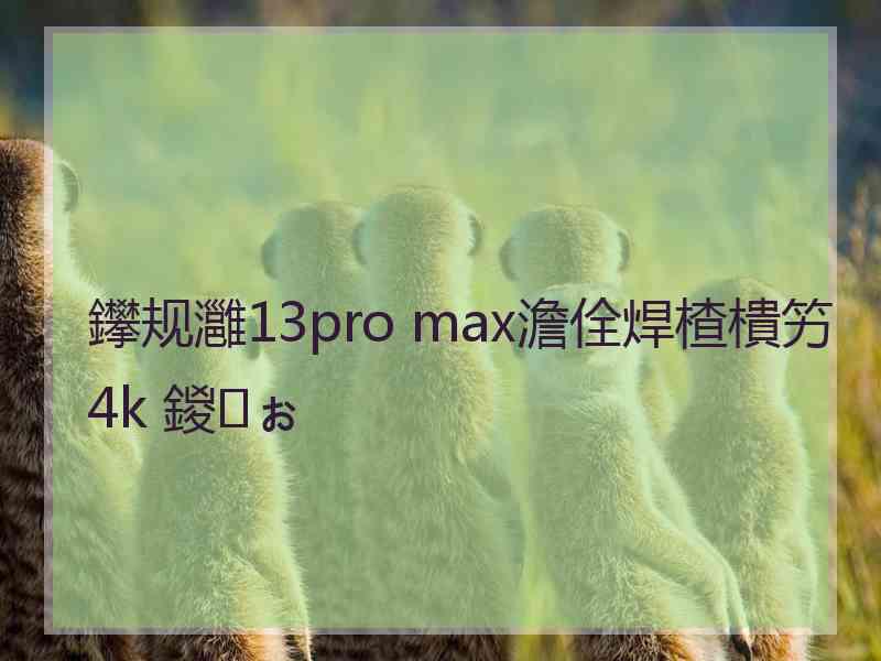 鑻规灉13pro max澹佺焊楂樻竻4k 鍐ぉ