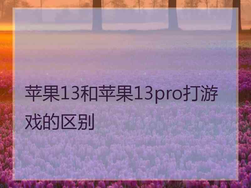 苹果13和苹果13pro打游戏的区别