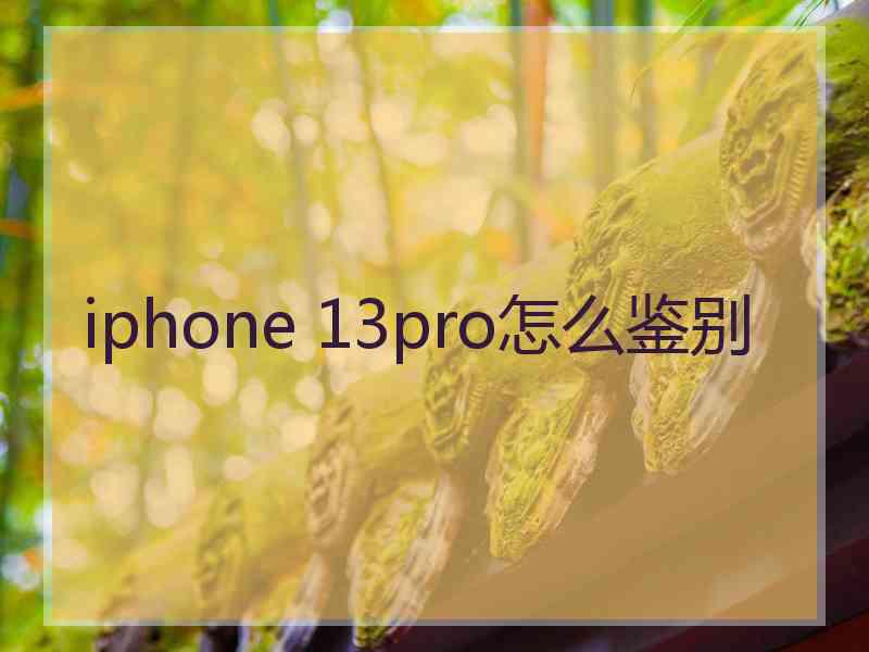 iphone 13pro怎么鉴别