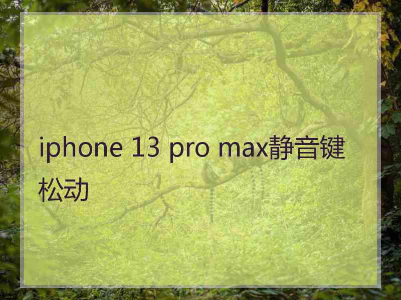 iphone 13 pro max静音键松动