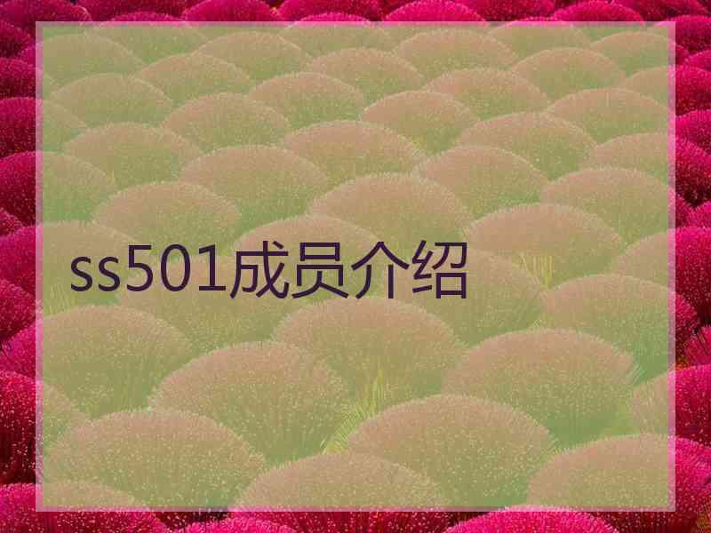 ss501成员介绍