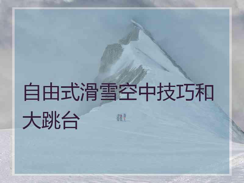 自由式滑雪空中技巧和大跳台