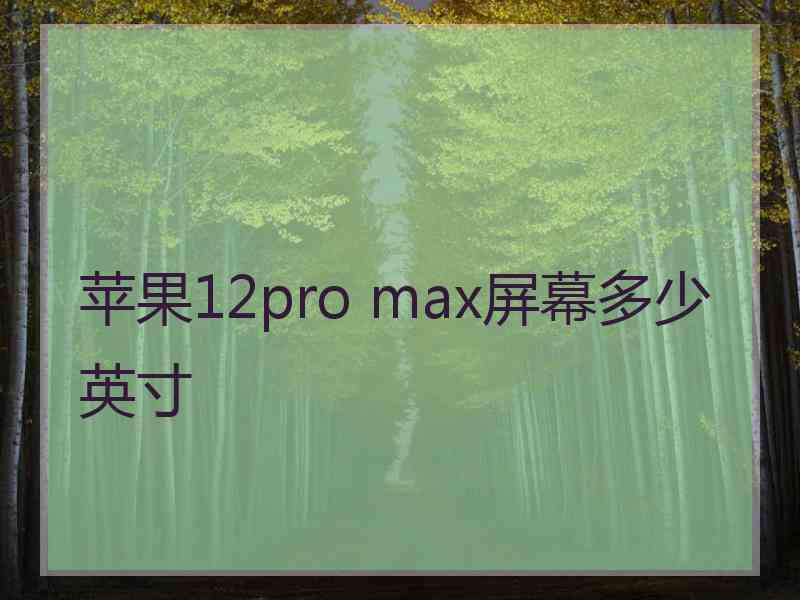 苹果12pro max屏幕多少英寸