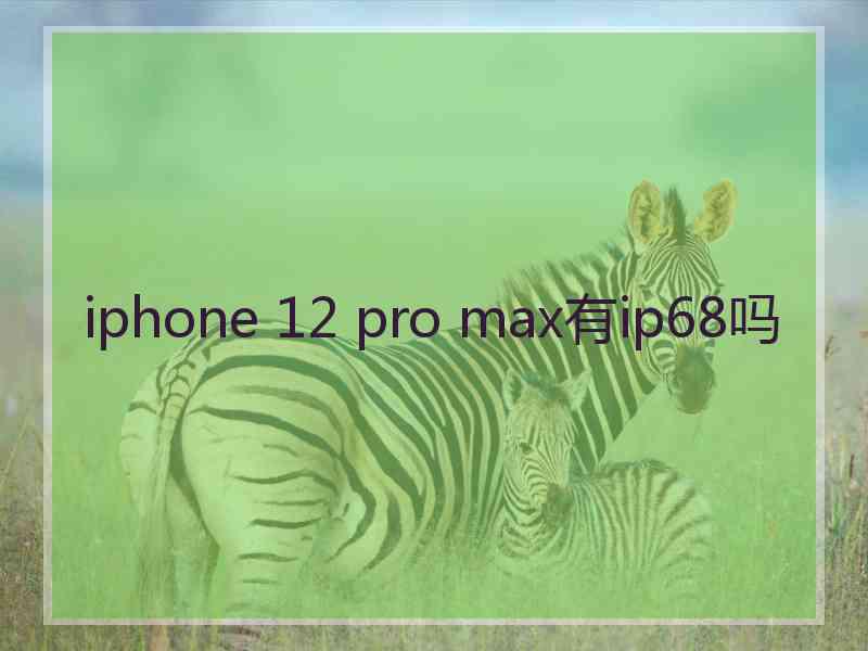 iphone 12 pro max有ip68吗