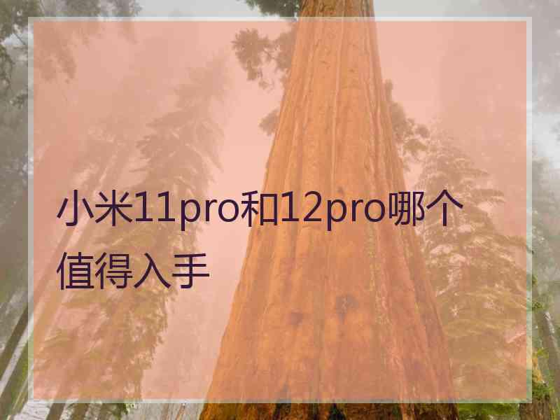 小米11pro和12pro哪个值得入手