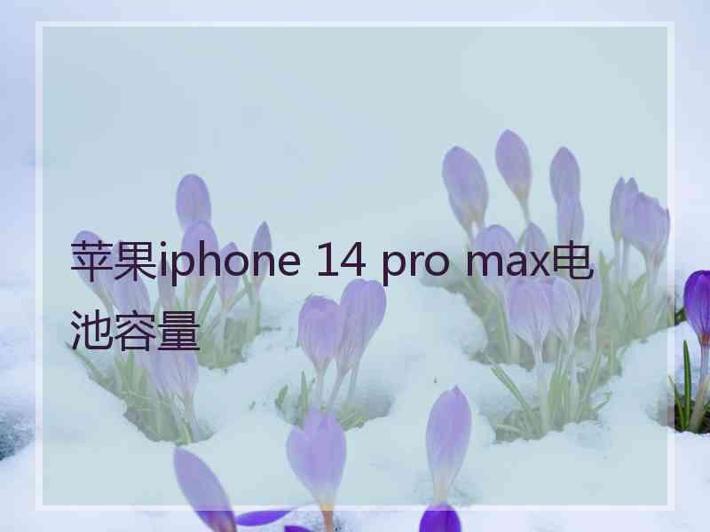 苹果iphone 14 pro max电池容量