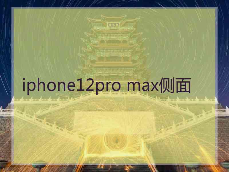 iphone12pro max侧面